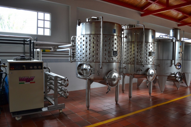 cave-THIERY-min_wine_production_cantine_winery_drink_alcohol_vine_beverage-902036